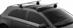 Thule FixPoint Evo -NRS Verkäufe 2551980 d 22 720x600